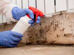 Best Residential Mold Inspection & Testing  in Salem, NC